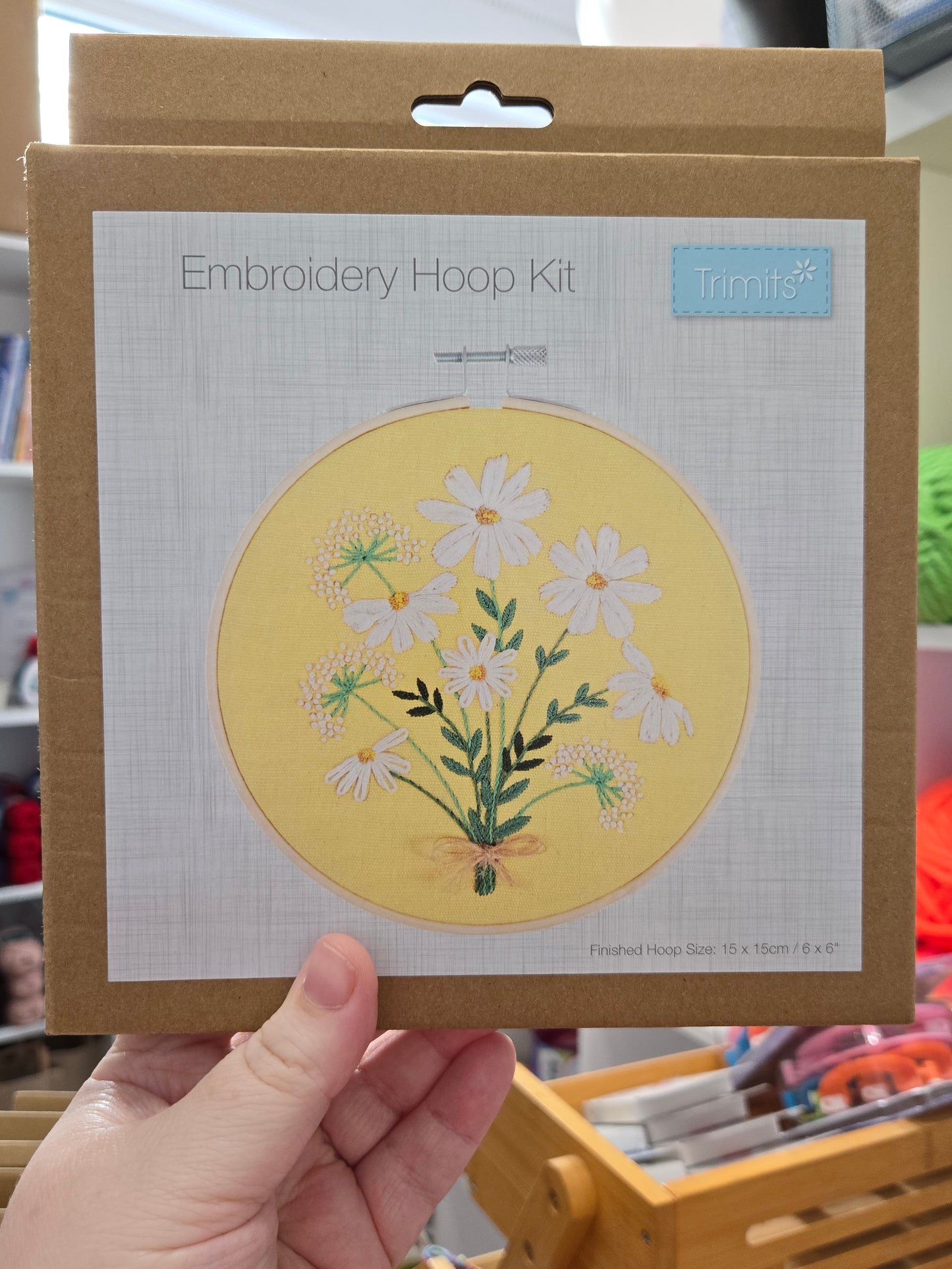 Embroidery Kits (Various Designs)